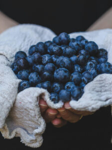 LeberkurAnthonyWilliams-Jakobitsch